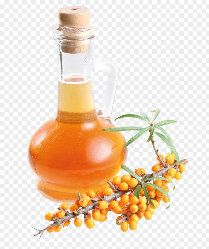 Oil Sea Buckthorn Dietary Supplement Seaberry Health PNG