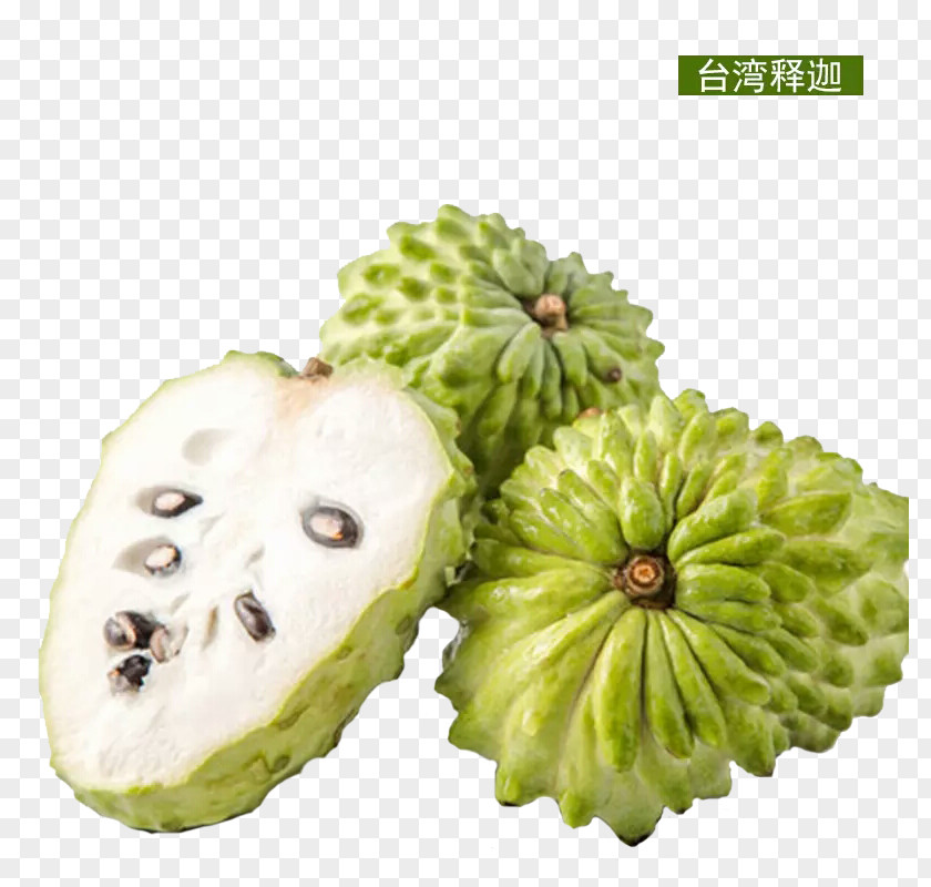 Taiwan Buddha Sugar Apple Soursop Sugar-apple Auglis Fruits VinFruits PNG