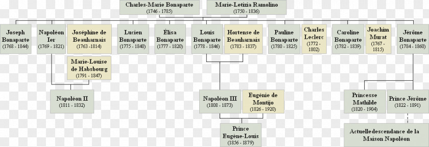Family Napoleonic Wars House Of Bonaparte Genealogy History PNG