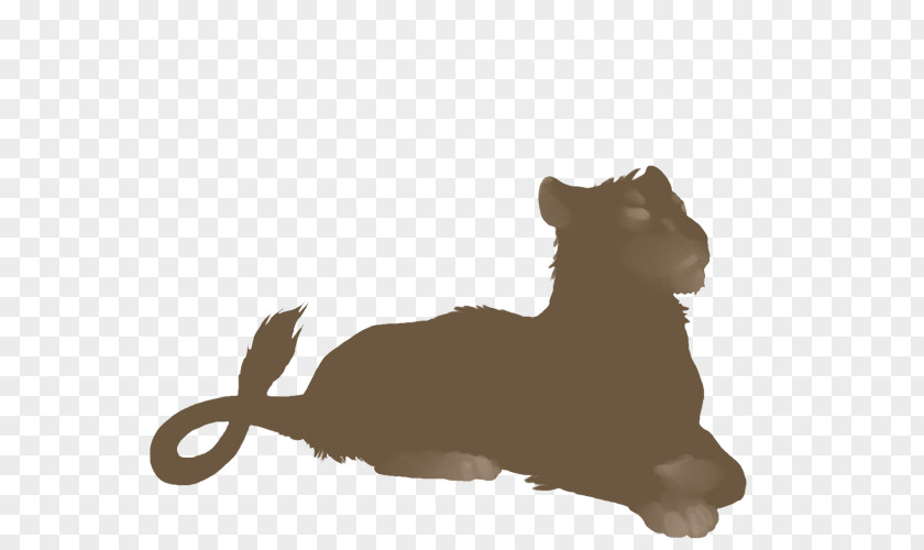 Lion Whiskers Kitten Leopard Dog PNG