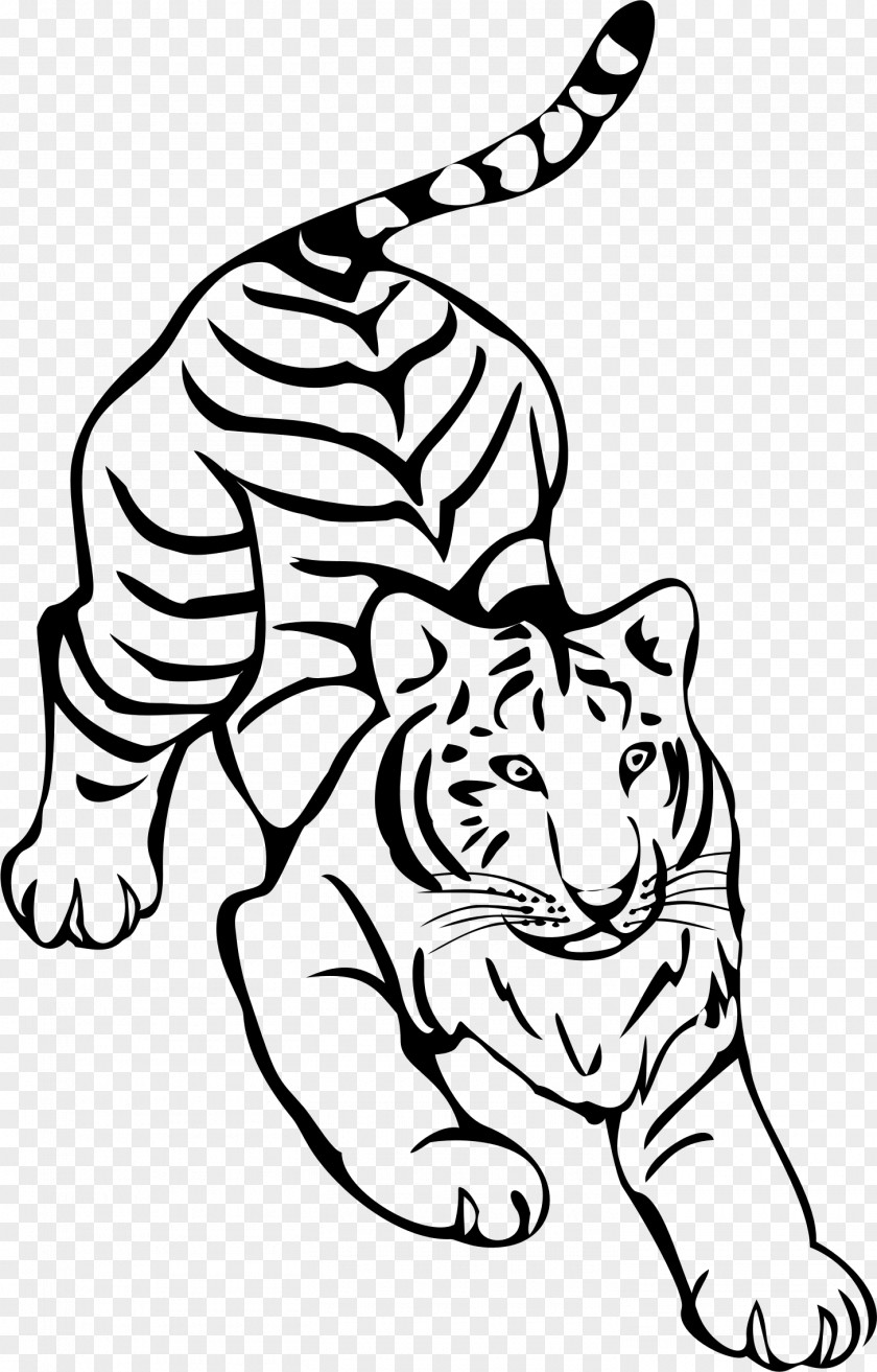 Tiger Line Art Drawing PNG
