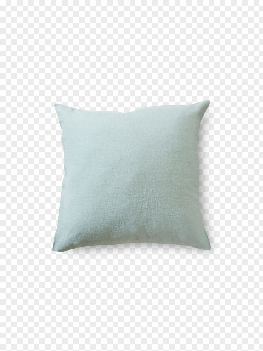 Celadon Throw Pillows Cushion Rectangle Turquoise PNG
