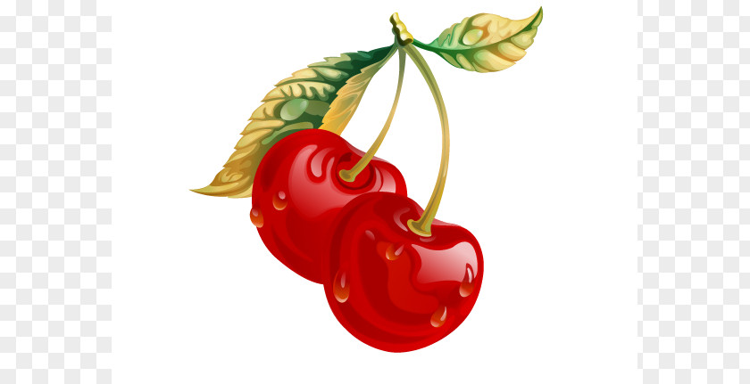 Cherry Clip Art Drawing Image PNG