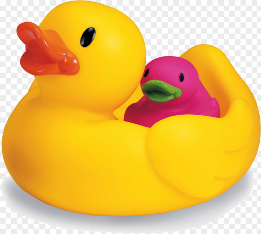 Duck Toy Game Child Infant PNG
