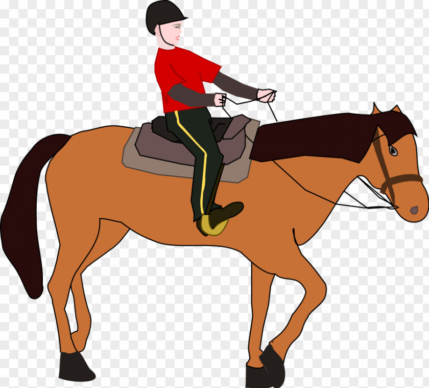 Horse Rider Cliparts Horse&Rider Equestrianism Clip Art PNG