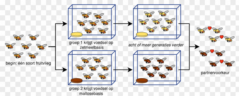 Mixed Fruit Geographical Isolation Sympatric Speciation Parapatric Peripatric PNG