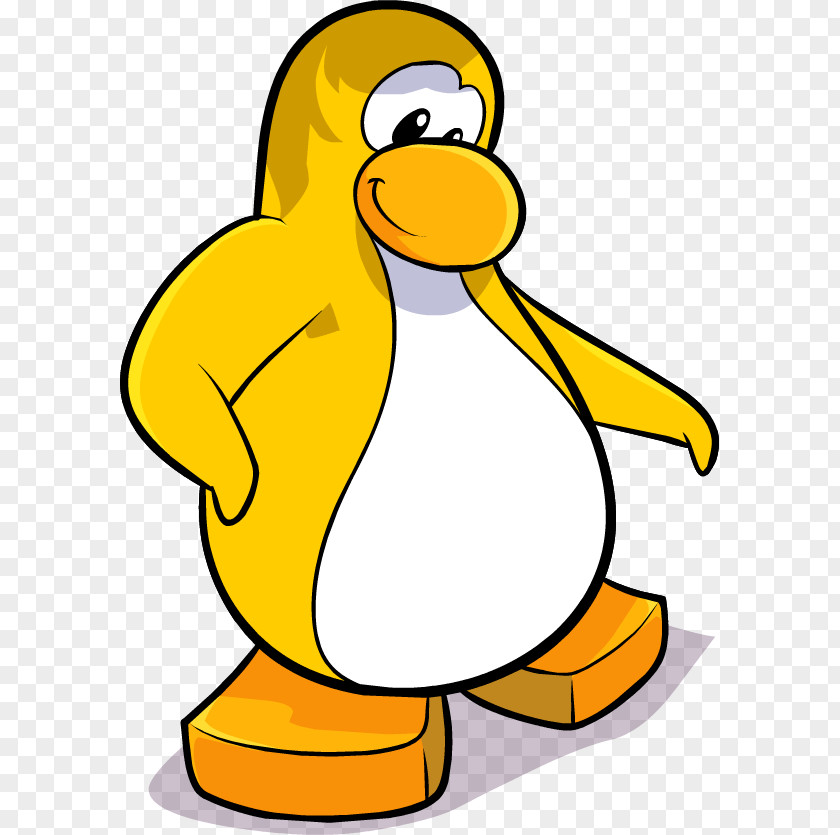 Penguin Club Original Clothing Water Bird PNG