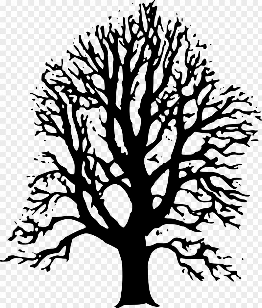 Tree Lindens Clip Art PNG