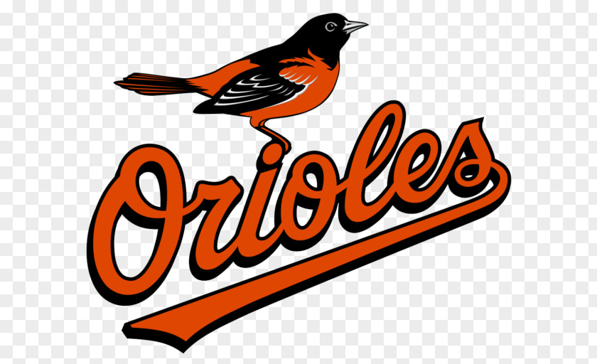 Baseball Oriole Park At Camden Yards Baltimore Orioles MLB Tampa Bay Rays PNG