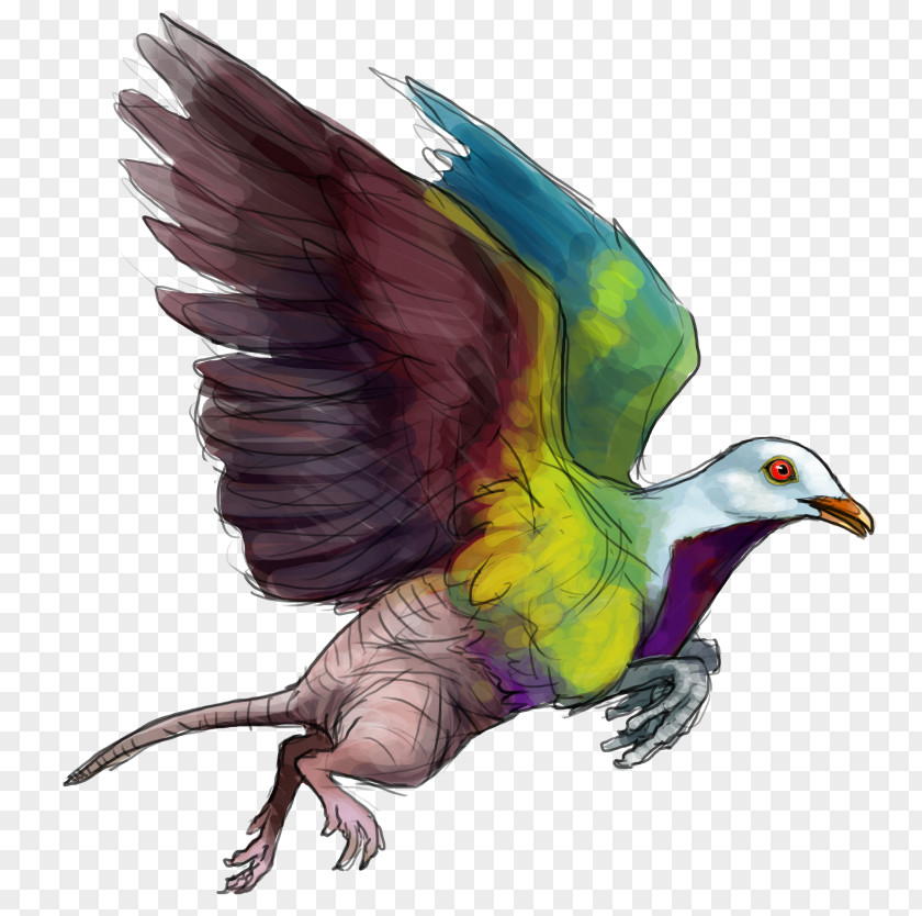 Bird Beak Of Prey Feather Illustration PNG