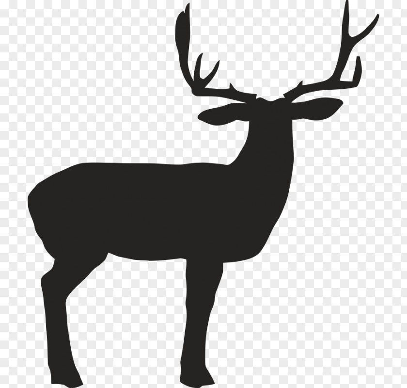 Deer Reindeer White-tailed Elk Antler PNG