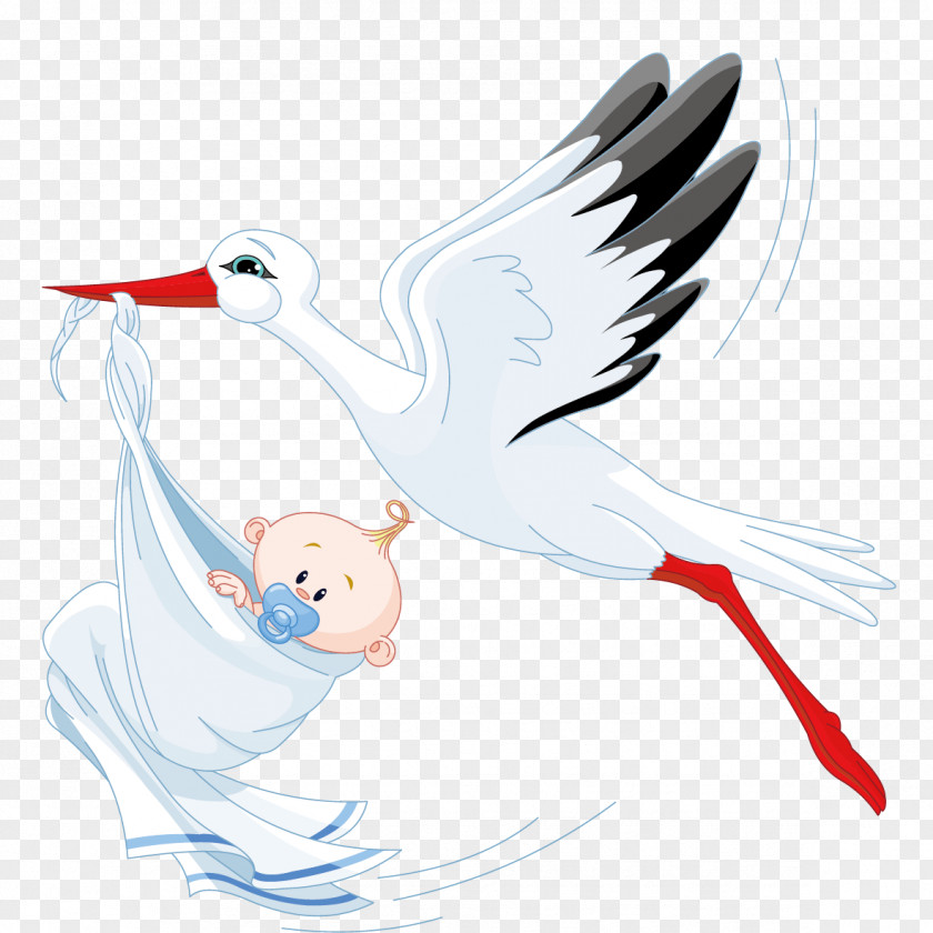 Diao Bird Child Infant Stork Boy Clip Art PNG