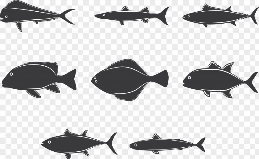 Fish Assemblage Fishing Clip Art PNG