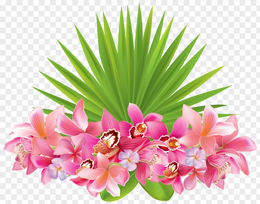 Flowers Flower Tropics Clip Art PNG