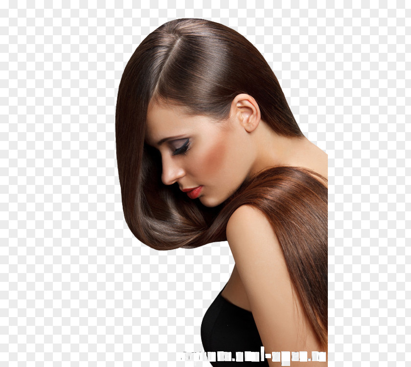 Hair Iron Comb Artificial Integrations Straightening PNG