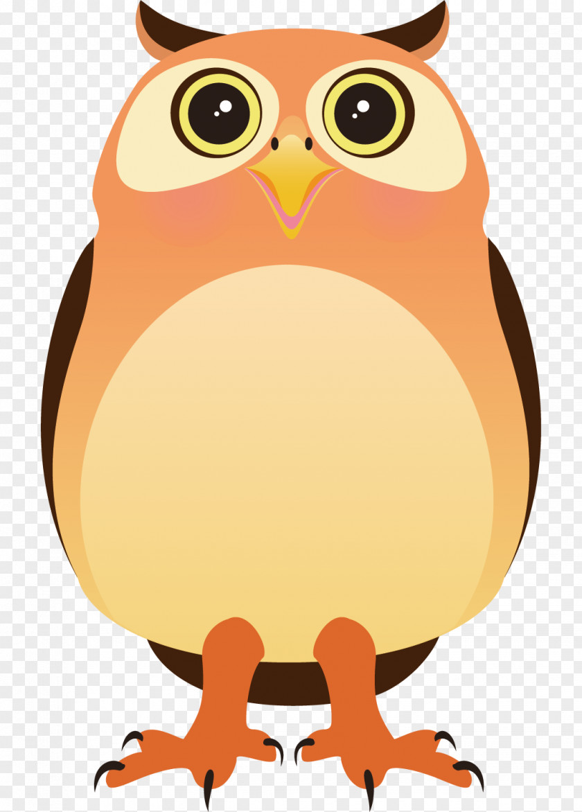 Owl Vector Material Clip Art PNG