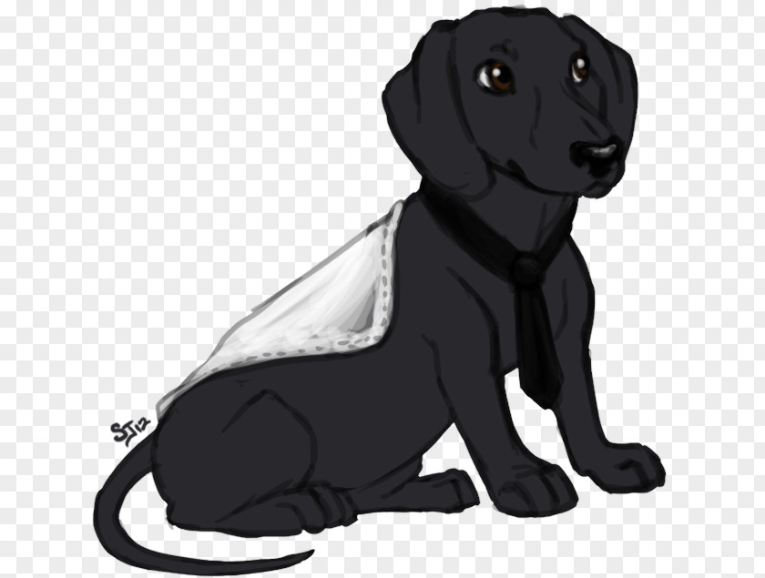 Puppy Labrador Retriever Dog Breed Sporting Group PNG