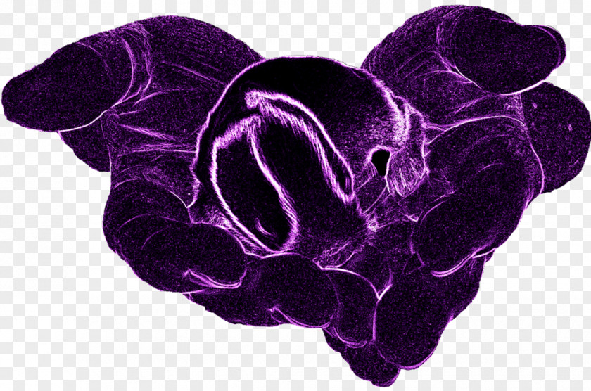 Purple Neon Organism PNG