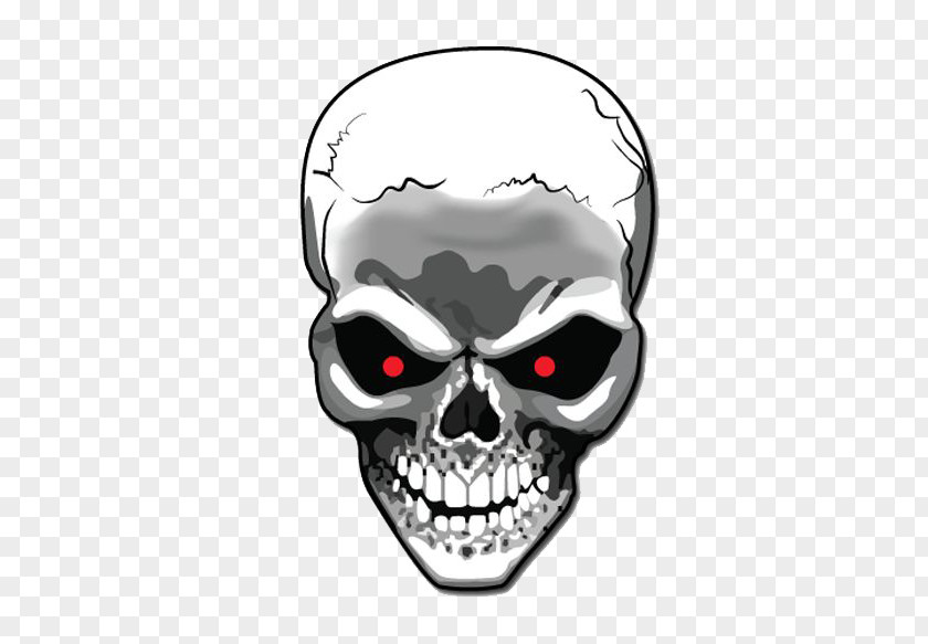 Skull File Wallpaper PNG