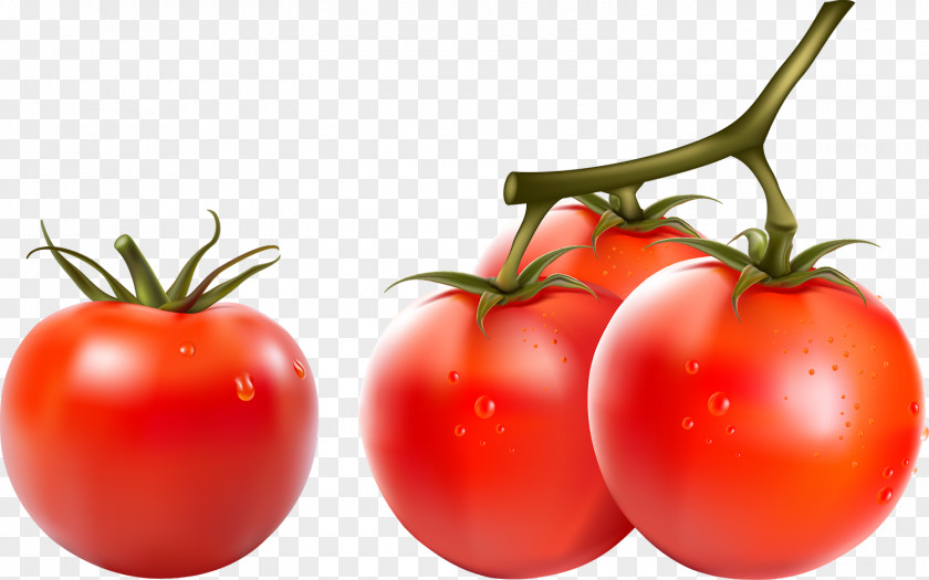 Tomato Cherry Vegetable Capsicum Clip Art PNG