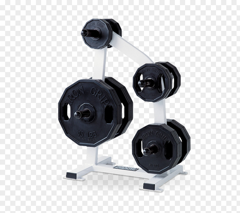 Barbell Strength Training Fitness Centre Weight Physical PNG