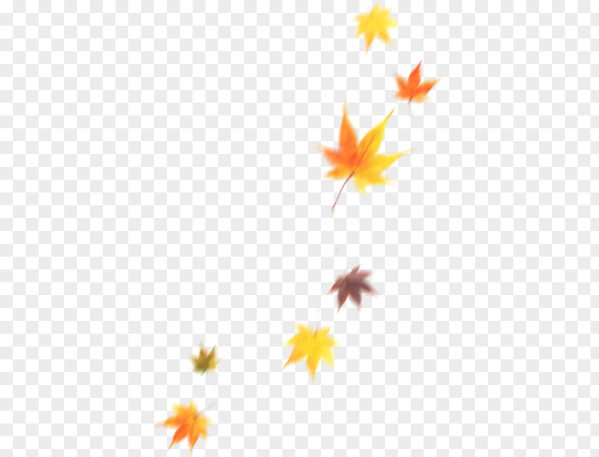 Falling Leaf On House Maple Desktop Wallpaper Computer PNG
