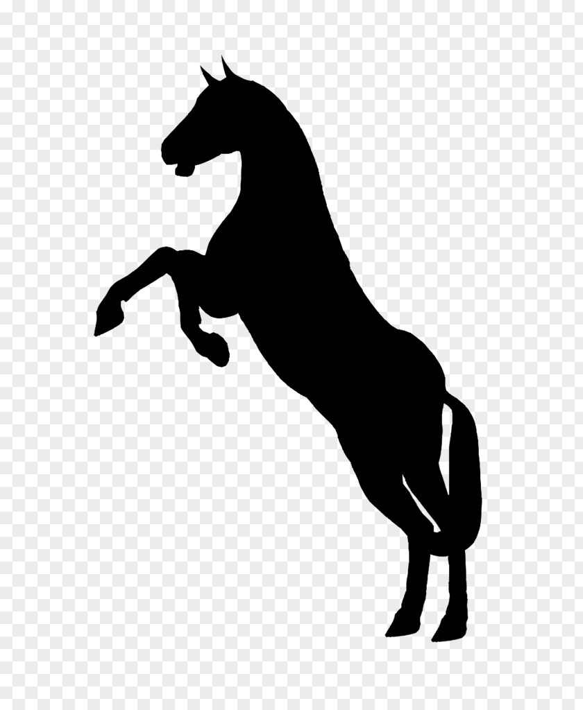Horse Stallion Rearing Equestrian Clip Art PNG