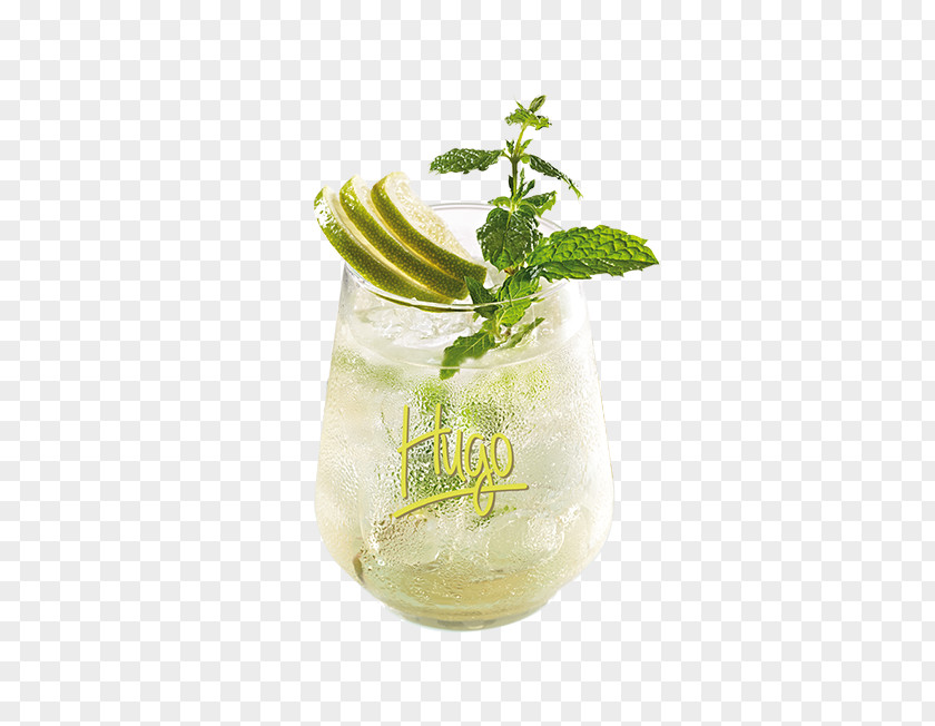 Mojito Mint Julep Herb Flavor PNG