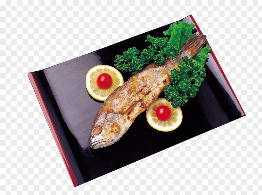 The Electromagnetic Oven Grilled Fish Barbecue Bento Asado PNG
