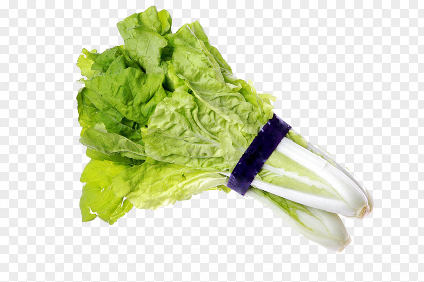 Water Cabbage Image Romaine Lettuce Chinese Vegetarian Cuisine PNG