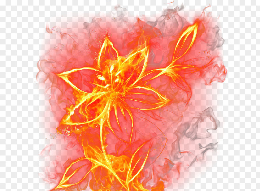 Burning Flowers PNG