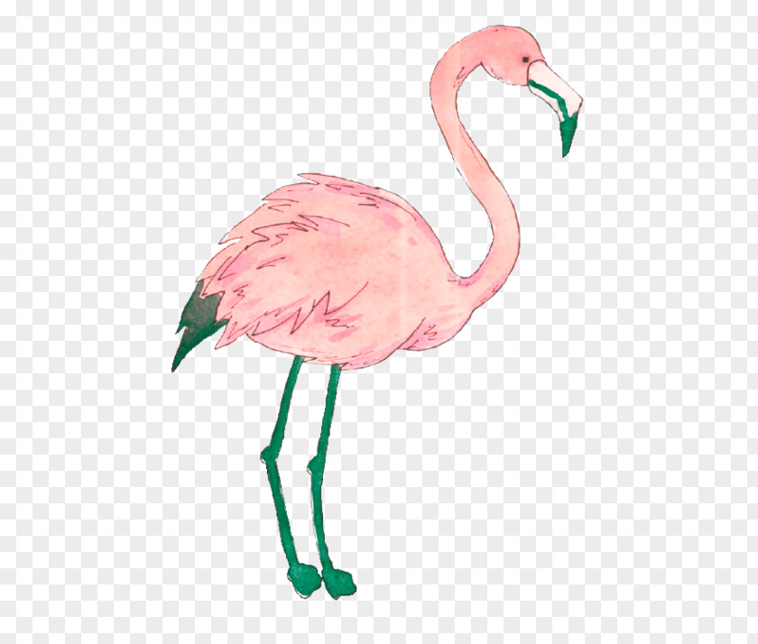 Flamingos Sticker Collage Wall Decal Clip Art PNG