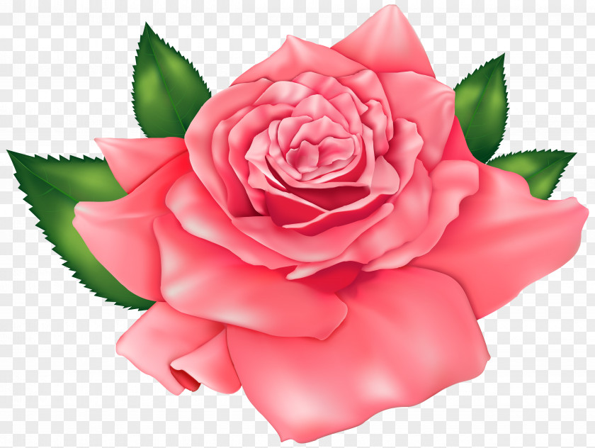 Pink Beautiful Cliparts Rose Orange Flower Clip Art PNG