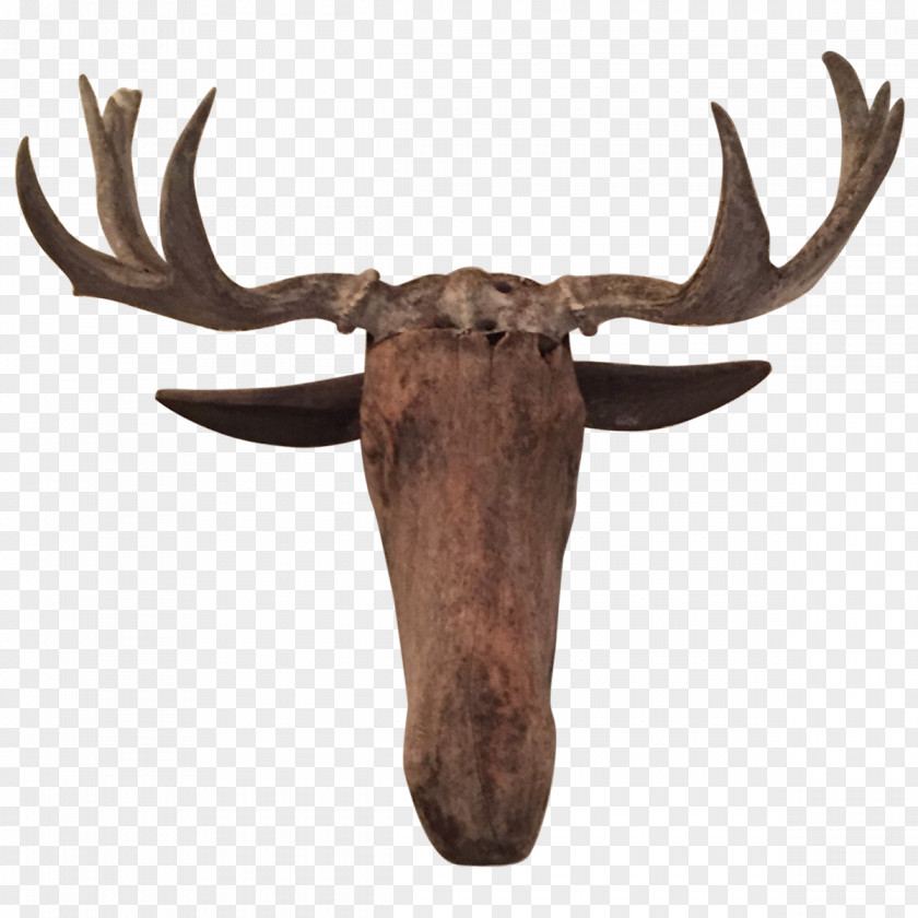 Antler Reindeer Moose Elk PNG