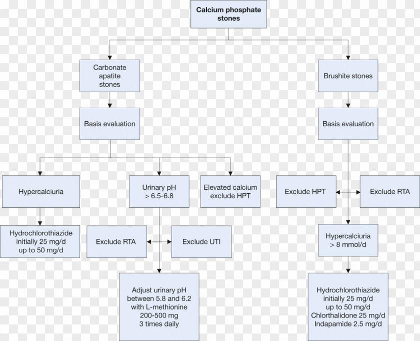 Design Document Line Angle PNG