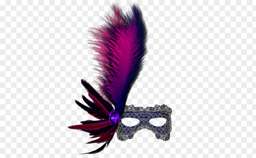 Feathers And Goggles Mask Blindfold PNG