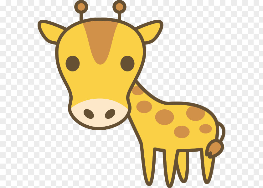 Giraffe Illustration Wild Boar Image 浦臼町認定こども園 なかよし PNG