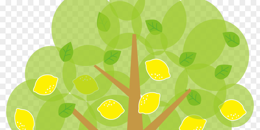 Lemon Tree Cliparts Fruit Clip Art PNG