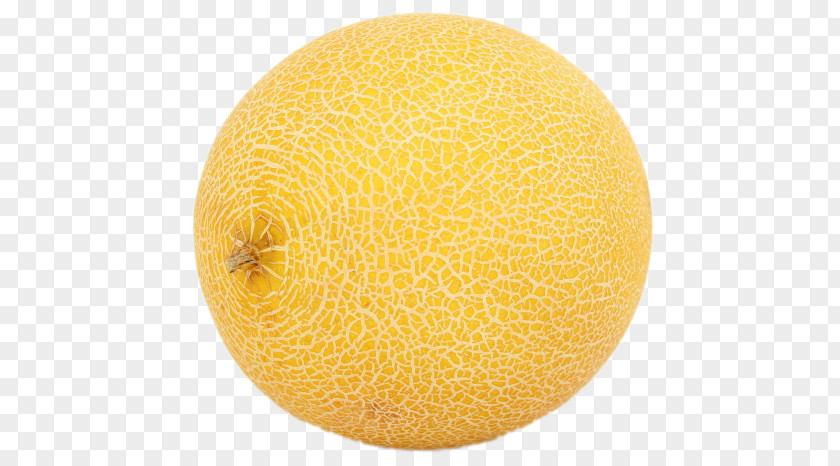 A Yellow Melon Honeydew Cantaloupe Galia Orange Citron PNG