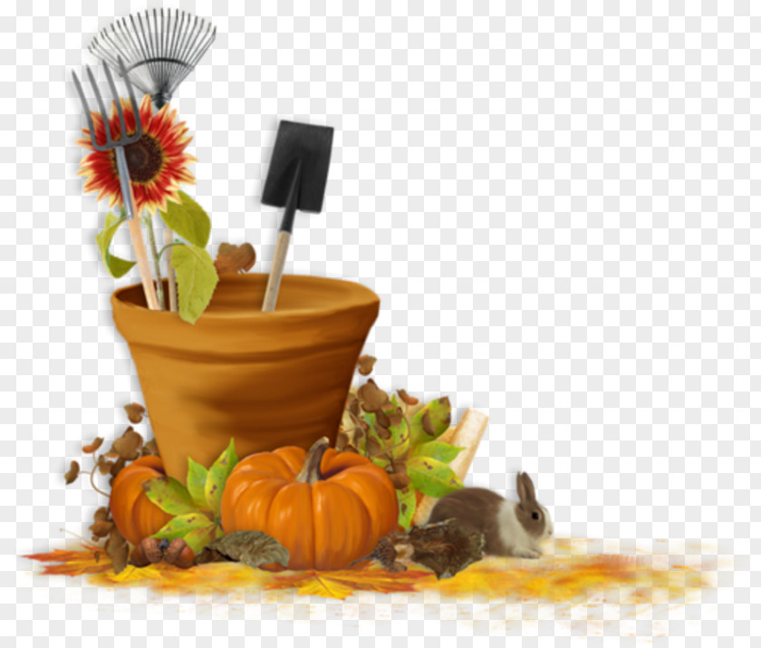 Autumn Diploma Golden Clip Art PNG