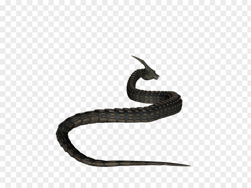 Dinokonda Rattlesnake Vipers Kingsnakes Product PNG