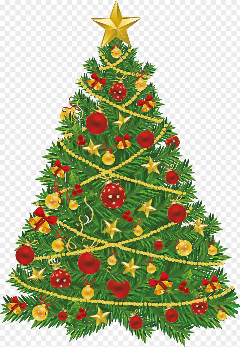 Evergreen Pine Christmas Tree PNG