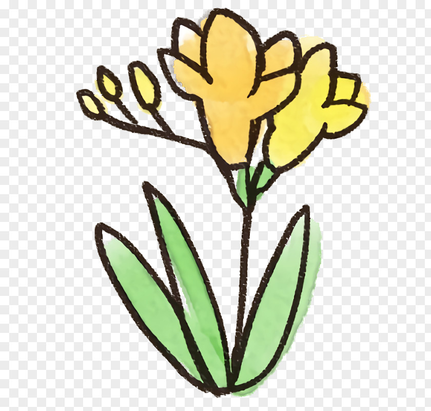 Flower Yellow Plant Pedicel Stem PNG