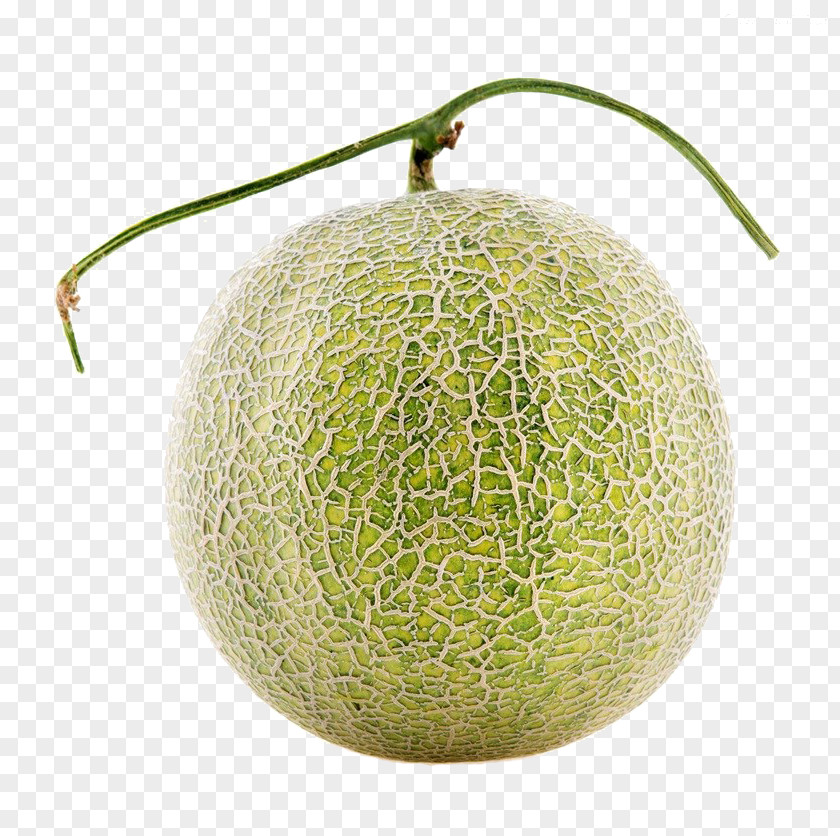 Fresh Melon Honeydew Cantaloupe Galia PNG