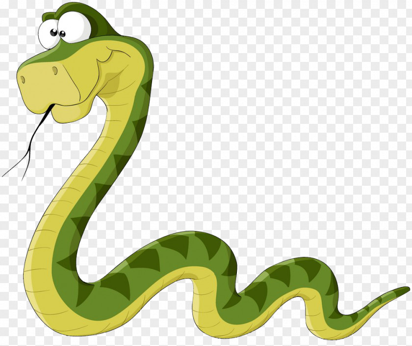 Grado Snakes Stock Photography Vector Graphics Royalty-free Image PNG
