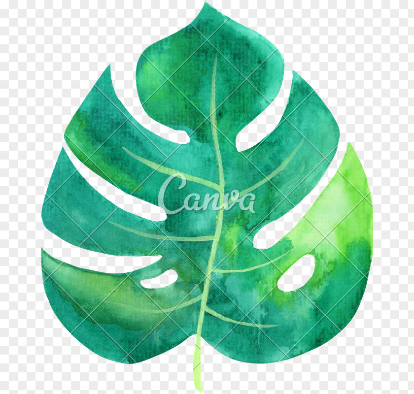 Leaf Hammock Image Clip Art PNG
