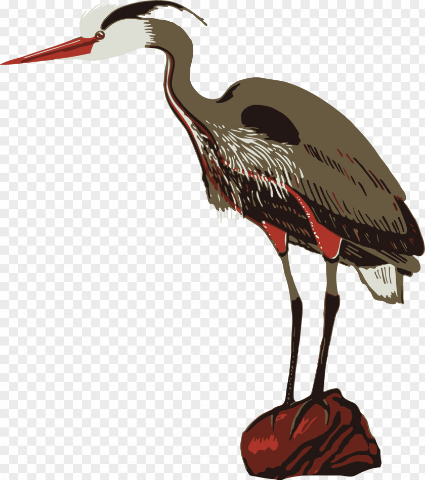 Lobster Clipart Crane Poster Zoo Heron PNG