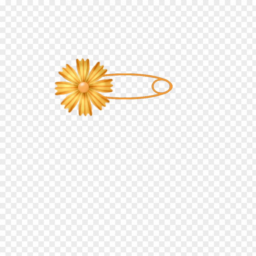 Pin Safety Icon PNG