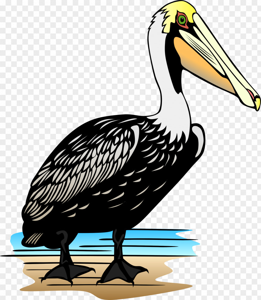 Stork Pelican Clip Art PNG