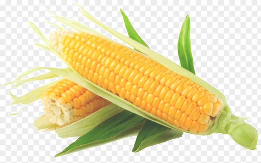 Vegetable Corn On The Cob Sweet Maize Kernel PNG